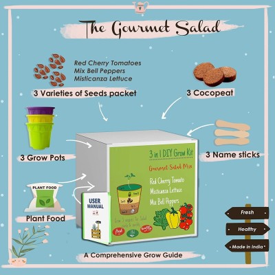 CRGO SEEDS KIT Seed(30 per packet)