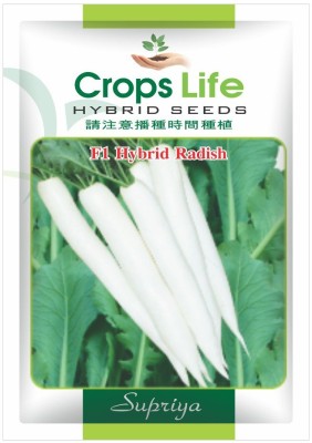 CropsLife Hybrid Radish seeds , For Outdoor Gardening (Pack of 4) Seed(100 per packet)