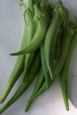 Qualtivate ICRA-2A Dwarf-Stalk Long Green Okra Seed(350 per packet)
