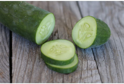 Avysa Hybrid DIVA CUCUMBER Seeds-CuC_1480 Seed(300 per packet)