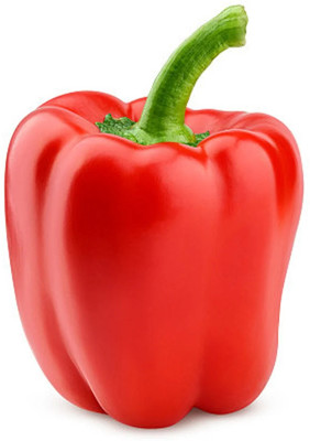 VASUDHA Capsicum Red Organic Seed(800 per packet)
