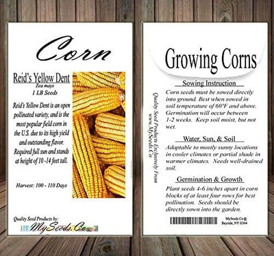 Qualtivate ICRA-8A Reid's Yellow Field Corn Seeds Seed(400 per packet)