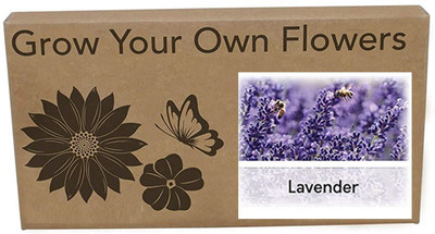 CYBEXIS Lavender Flower Seeds400 Seeds Seed(400 per packet)