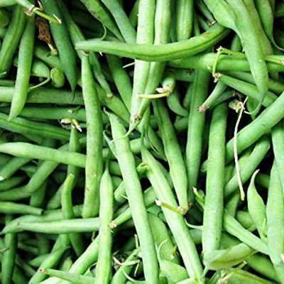 SREE Gwar Fali/Cluster Beans 97 Seed(20 per packet)