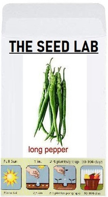 KNESSiN Long Green Chilli Seed(1250 per packet)