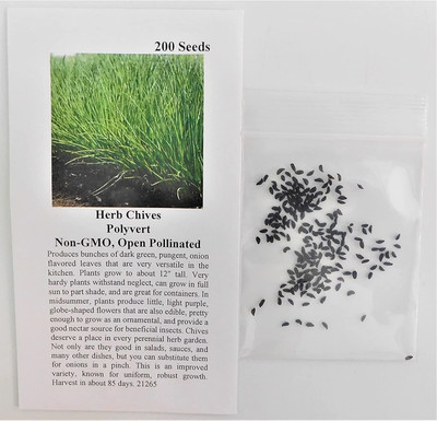 CYBEXIS PUAS-9 - Chives - (2250 Seeds) Seed(2250 per packet)