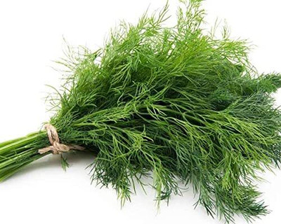 Aywal Fresh Soya Saag F1 Hybrid Vegetable Seed(300 per packet)