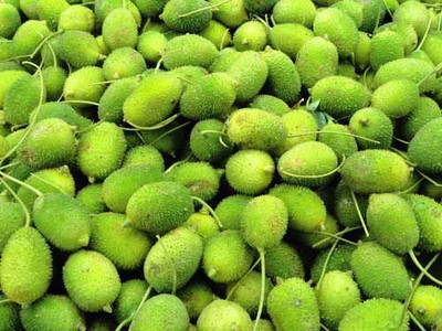 the green dotcom Kantola (Spiny Gourd) Seed Seed(1 per packet)