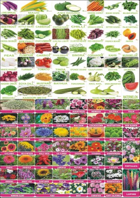 FLARE SEEDS 100 Variety of Vegetable and Flower Seeds Combo Gardening Pack Seed(100 per packet)