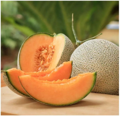 MRCY Extra Sweet Best Quality Musk Melon Seed(200 per packet)