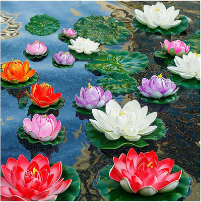 ACMS LOTUS Seeds for Planting Lotus Seeds, Beautiful Flowering Aquatic Bonsai Seed(12 per packet)