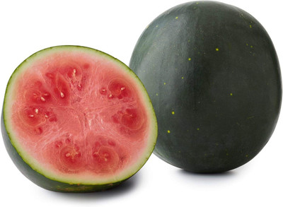 Qualtivate ICRA-2A Moon & Stars Watermelon Seeds Seed(100 per packet)