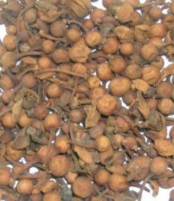 Aywal NAGKESAR - NAG KESAR - NAGKESHAR - NAG KESHAR - OCHROCARPUS LONGIFOLIUS Seed(40 per packet)