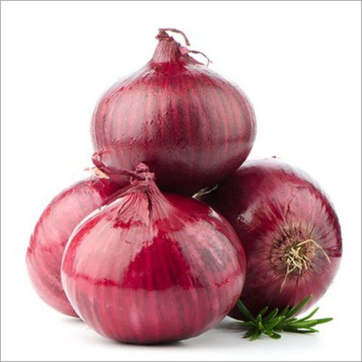 Qualtivate RES-8A Onion Red F1 Hybrid Seeds Seed(500 per packet)