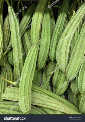 Paudhaa FI QUALITY RIDGE GOURD Seed(17 per packet)