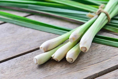 VibeX ® RXI-203 Insect Repellent Lemon Grass Plant Seed(500 per packet)