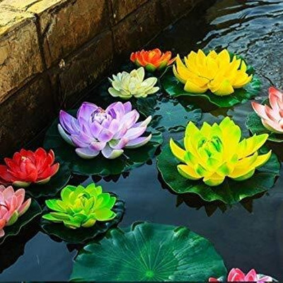 CRGO LOTUS , KAMAL Seed(10 per packet)