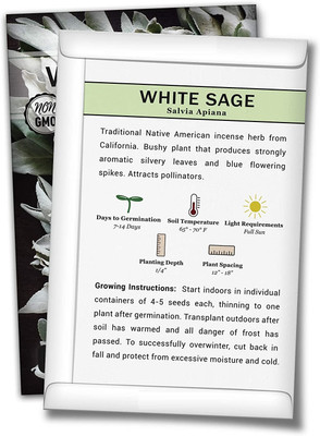 WILLVINE Non-GMO Hybrid White Sage Seeds Seed(1000 per packet)