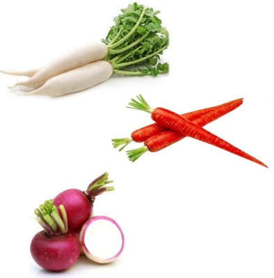 Garden Basket Hubb Mooli(Radish)-Gajar(Carrot)-Shaljam(Turnip) pack of 3 Seed(100 g)