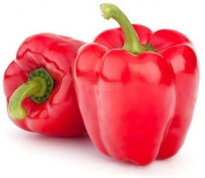 CYBEXIS LX-98 - Red Capsicum Vegetable - (150 Seeds) Seed(150 per packet)
