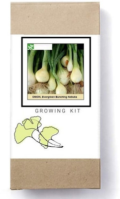 Biosnyg Evergreen Bunching Onion Seed(250 per packet)