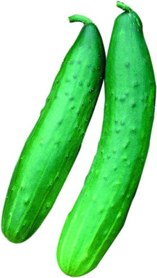 Qualtivate RES-7A Garden Sweet Cucumber Seeds Seed(300 per packet)