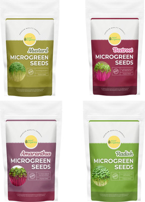 MINT ORGANICS Microgreen Seeds Combo Pack of 4: Beetroot, Radish, Amaranthus, Mustard Seed(50 g)