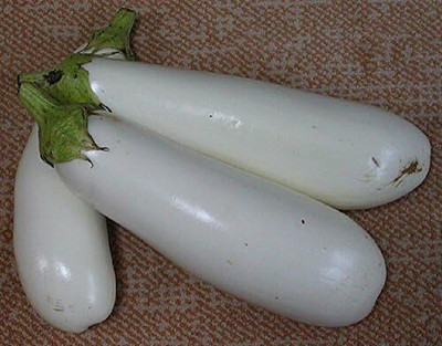 Biosnyg Open-Pollinated Casper White Brinjal Eggplant ( Seeds) Seed(2000 per packet)