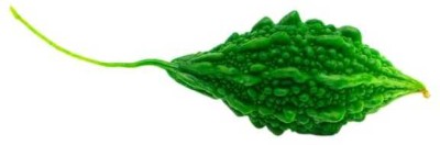 Oliver F1 BEST QUALITY BITTER GOURD SEEDS Seed(17 per packet)