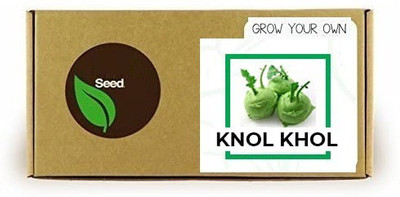 CYBEXIS Knol Khol500 Seeds Seed(500 per packet)