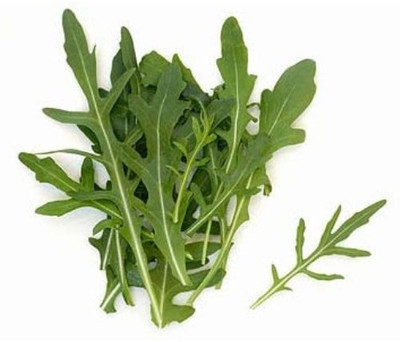 Mozette Rocket Leaf Seed(22 per packet)