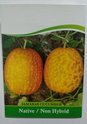 Qualtivate HYB-3A Home gardening (Sambar Cucumber) Seed(300 per packet)