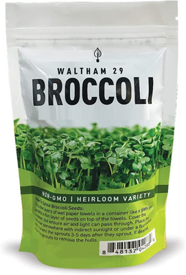 VibeX Broccoli Seed(200 per packet)
