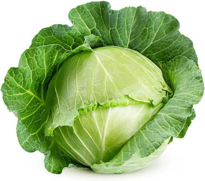 WILLVINE GBPUT -VII Copenhagen Market Cabbage Seeds [50g] Seed(15000 per packet)