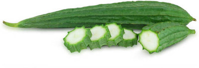 XOLDAA FI QUALITY RIDGE GOURD Seed(19 per packet)