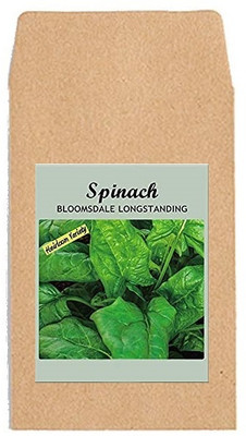 CYBEXIS Hybrid Vegetable Seeds-Spinach Longest Standing4000 Seeds Seed(4000 per packet)