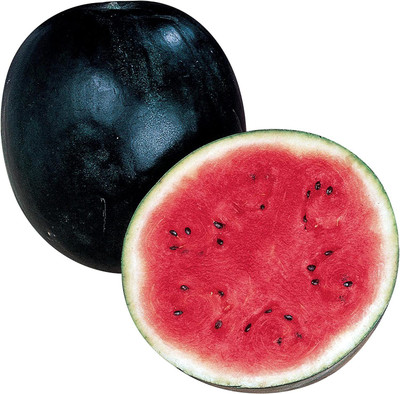 VibeX NBIR-42 - Sugar Baby Watermelon - (1350 Seeds) Seed(1350 per packet)