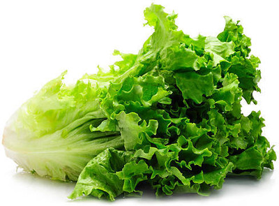 AMAJIT Lettuce Seeds / Letis Beej / Salad Patta Ke Beej, 15 Seed(15 per packet)