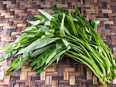 BDSresolve F1 Water Spinach Seeds Seed(500 per packet)