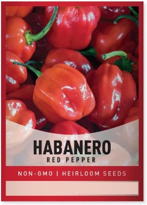Biosnyg Chilli Red Habanero Pepper Seed(1000 per packet)