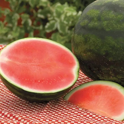 MORENK High Quality Watermelon तरबूज के बीज Seed(50 per packet)