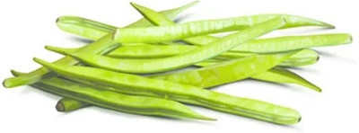 Oliver CLUSTER BEANS SEEDS Seed(55 per packet)