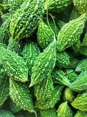 Oliver F1 BEST QUALITY BITTER GOURD SEEDS Seed(28 per packet)