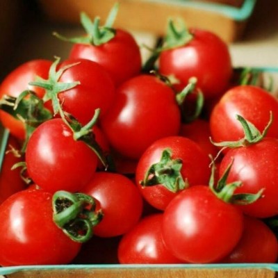 Quentova Cherry Tomato,Plum Tomatoes-VIC-22W Seed(300 per packet)