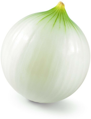 WATIKA White Onion Seed(2000 per packet)