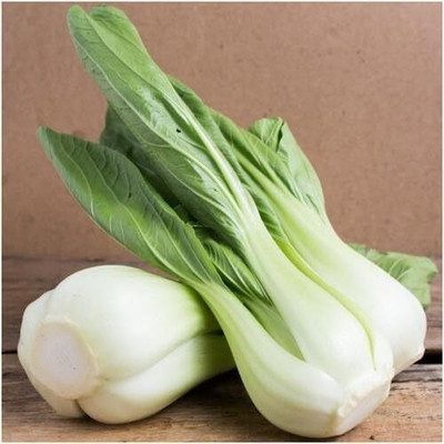 WILLVINE GBPUT -VII Pak Choi Cabbage Seeds [10g] Seed(3000 per packet)