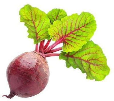 LPR CHUKANDAR,,BEETROOT Seed(300 per packet)