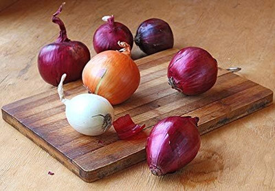 WILLVINE HAR -II Onion Giant Variety Mix [100g] Seed(300 per packet)