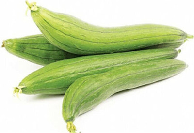 VibeX ® XLR-12 Luffa Seeds Smooth Sponge Gourd Vine Seed(50 per packet)