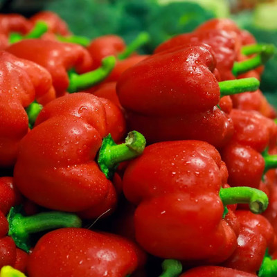 VASUDHA Red pepper Capsicum Seed(100 per packet)